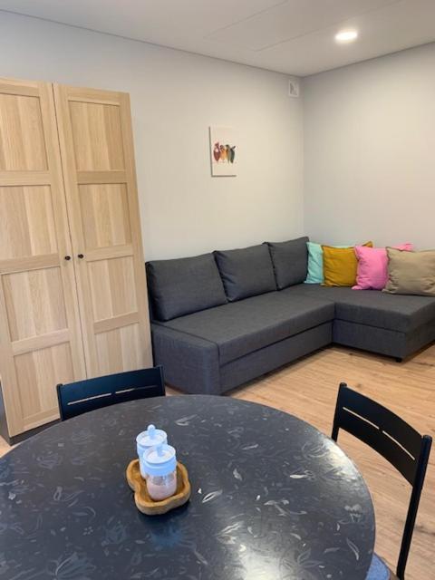 Cozy Apartment In Karmėlava מראה חיצוני תמונה